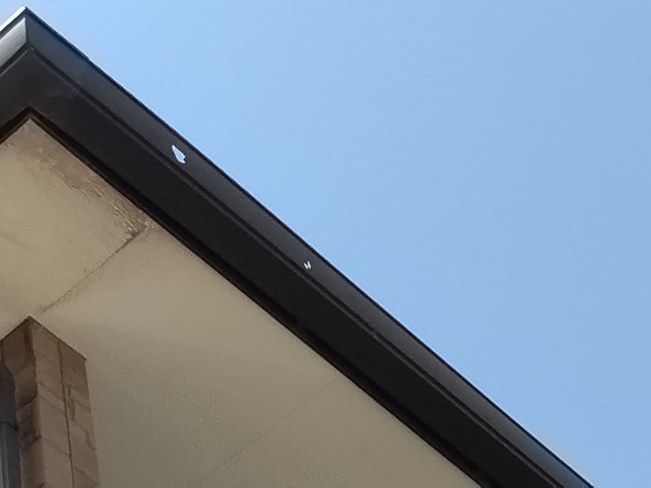 加古郡播磨町　軒樋(角樋)　穴開き